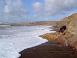 Beach (v)